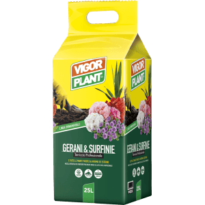 Sacco di terriccio per gerani e surfinie Vigorplant, 25 litri.