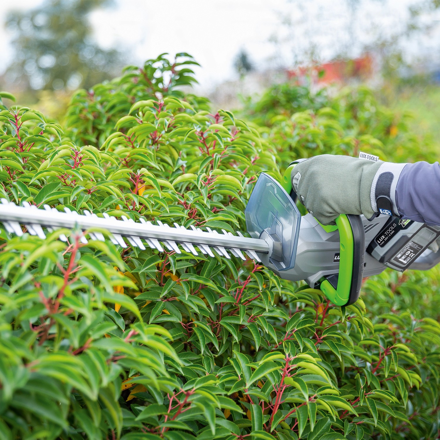 Tagliasiepi a batteria LUX A-HS-2x20/61 in uso per tagliare una siepe.
