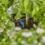 Gardena gocciolatore in linea 2 l/h in uso: Irrigazione a goccia con Micro-Drip-System per piante.