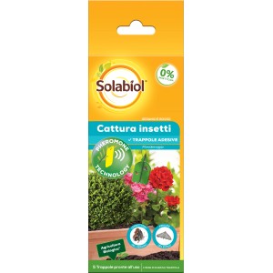 Trappola per insetti Solabiol per gerani e bosso, confezione da 5. Trappola adesiva per il controllo dei parassiti.