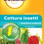 Trappola per insetti Solabiol per gerani e bosso, confezione da 5. Trappola adesiva per il controllo dei parassiti.