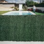 Schermo verde t.b.t. per la privacy in giardino con piscina e persona. Ideale come arelle, ombra e protezione dal vento.