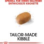 Crocchetta Royal Canin Maltese Adult, alimento secco per cani Maltese.