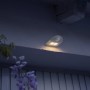 Lampada da parete per esterni Ledvance LED DoorLED Down argentata con sensore di movimento e luce.
