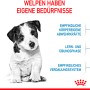 Cucciolo di piccola taglia, immagine del prodotto Royal Canin Mini Puppy cibo secco.