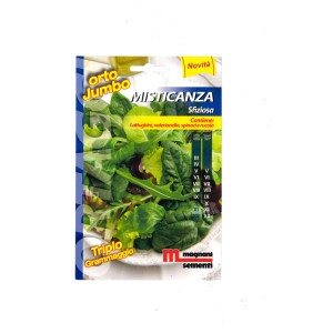 Confezione di semi per insalata mista (Misticana Sfiziosa) con diverse varietà di lattuga come spinaci e rucola.