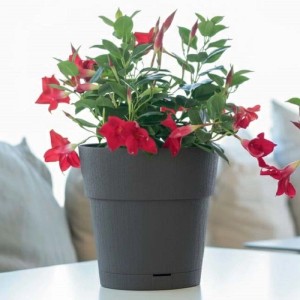 Vaso per piante plastica riciclata Grafite Ø 25 cm