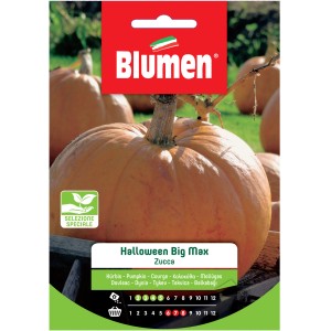 Confezione di semi di zucca Halloween Big Max di Blumen. Sementi per l'orto.
