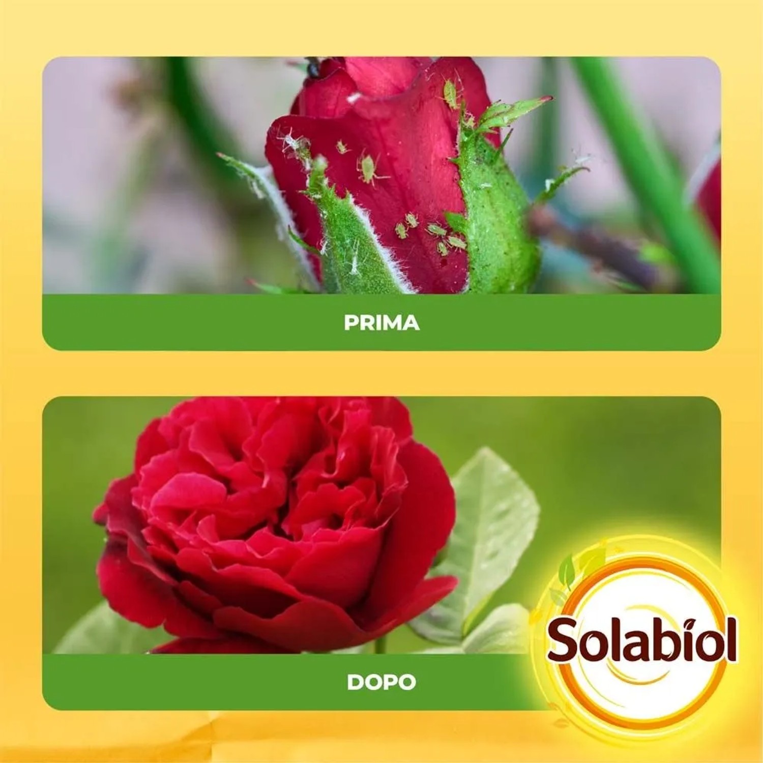 Spray Olio di Neem pronto uso 1 l_5