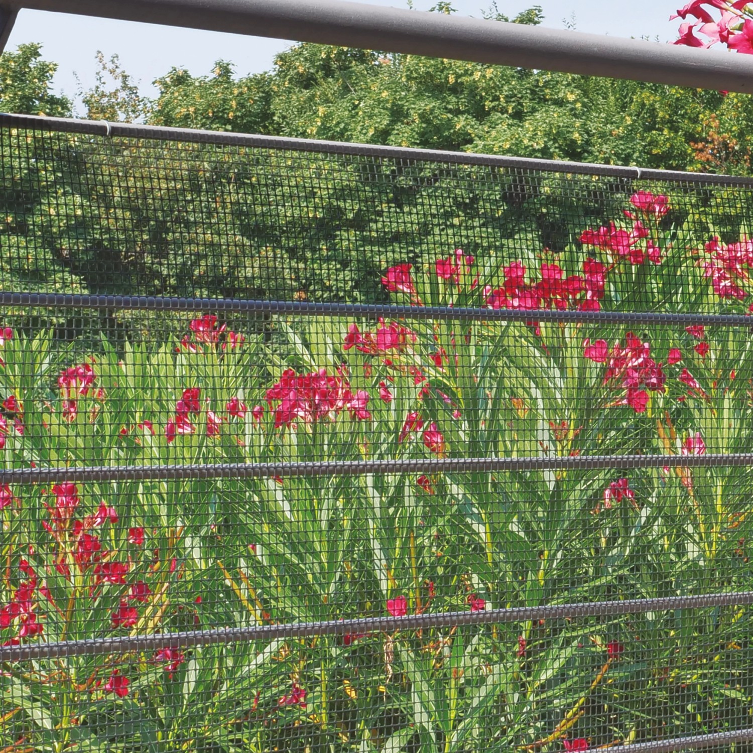 Rete Imballaggio Rete Protettiva Per Imballaggio HaGa - 5m, Diametro 22-36cm, Trasparente - Riutilizzabile Per Protezione Oggetti Rete Tubolare Per Ingrosso - Foto 5