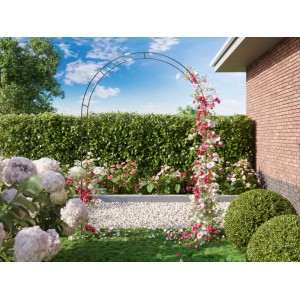Arco per rose in metallo nero, 240x140x38 cm, piantato con rose, in giardino.