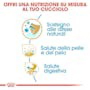 Grafica sulla composizione del cibo secco per cani t.b.t.
