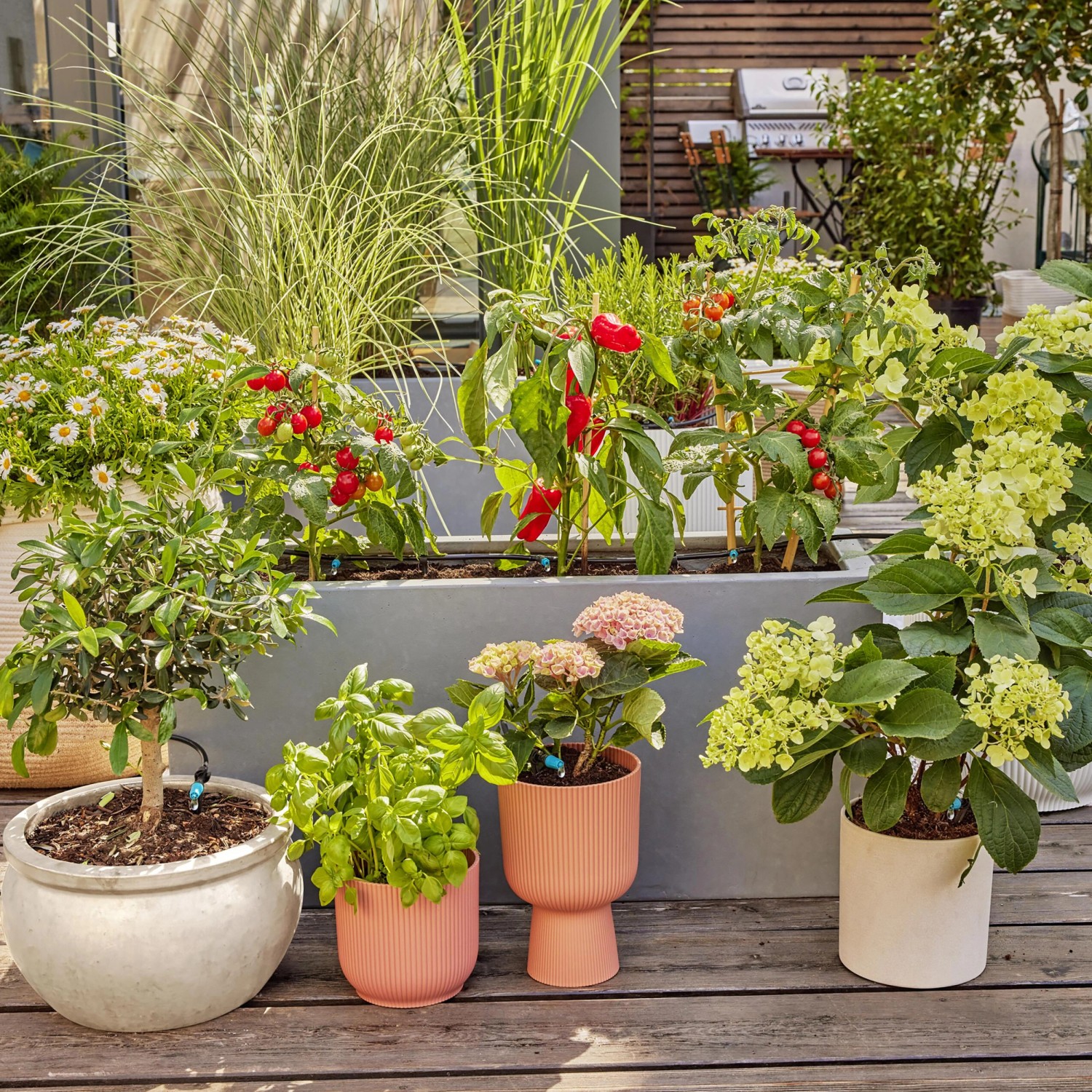Set irrigazione a goccia Gardena per terrazza per 30 piante, con unità base, tubi e gocciolatori.