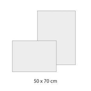 Due tele per pittura vuote, dimensioni 50x70 cm, per progetti creativi.