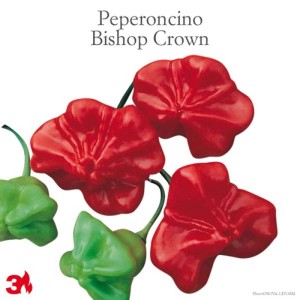 Peperoncini Bishop's Crown rossi e verdi, una varietà di Ortaggi da frutto.