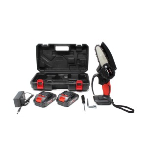Set motosega a batteria con custodia, batterie e caricabatterie.