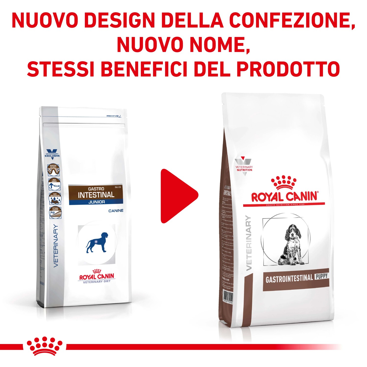 Royal Canin cibo secco per cani, Gastro Intestinal Puppy, nuovo packaging.