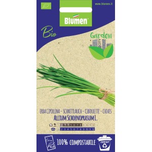 Confezione di semi di erba cipollina (Allium schoenoprasum) per erbe aromatiche.