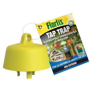 Trappola per mosche gialla con etichetta per il controllo degli insetti all'aperto.