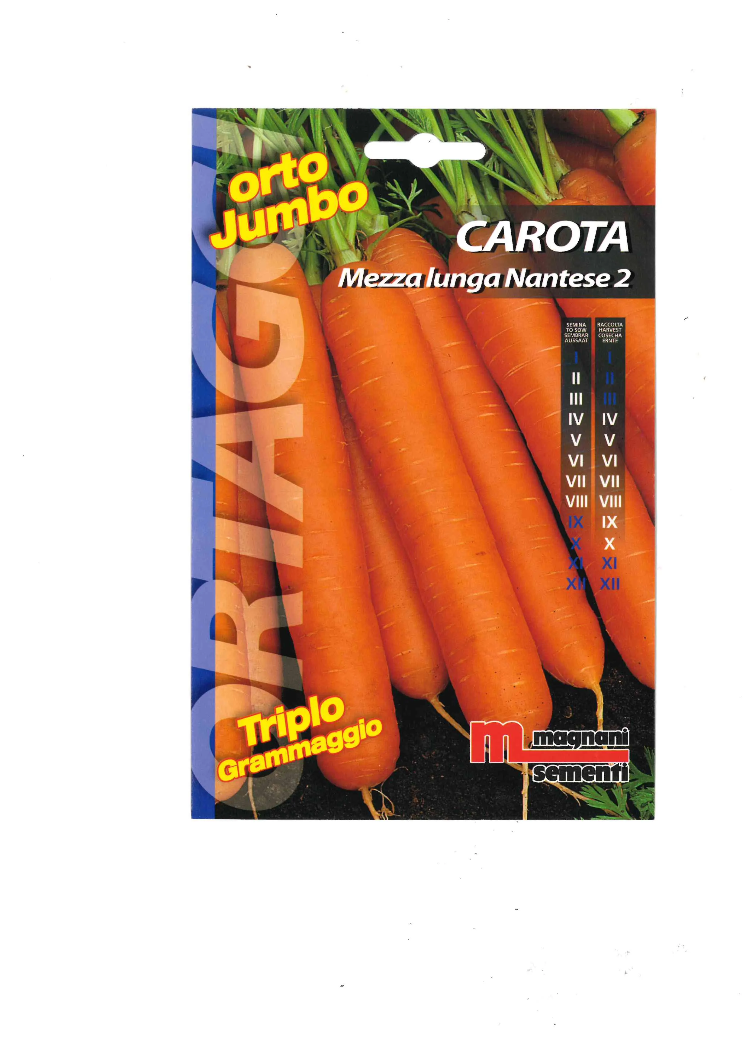 Sementi Di Carota Ibrida - Snow Man F1 - Nunhems - Foto 2