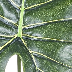 Dettaglio di una foglia verde della pianta artificiale.
