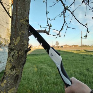 Sega a mano che pota un ramo. Ideale per il giardinaggio.