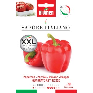 Semi per peperone rosso 'Quadrato Asti Rosso', confezione XXL per coltivare ortaggi in giardino.