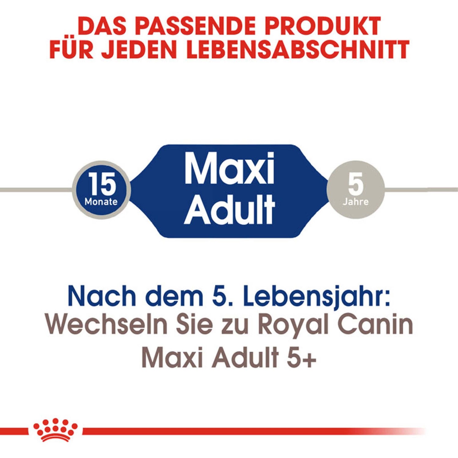 Royal Canin Maxi Adult: Alimento per cani di taglia grande da 15 mesi a 5 anni.