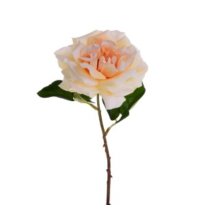 Rosa decorativa nei toni del crema e dell'albicocca con foglie verdi.