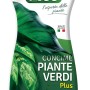 Concime liquido Fito per piante verdi, flacone da 1 litro.