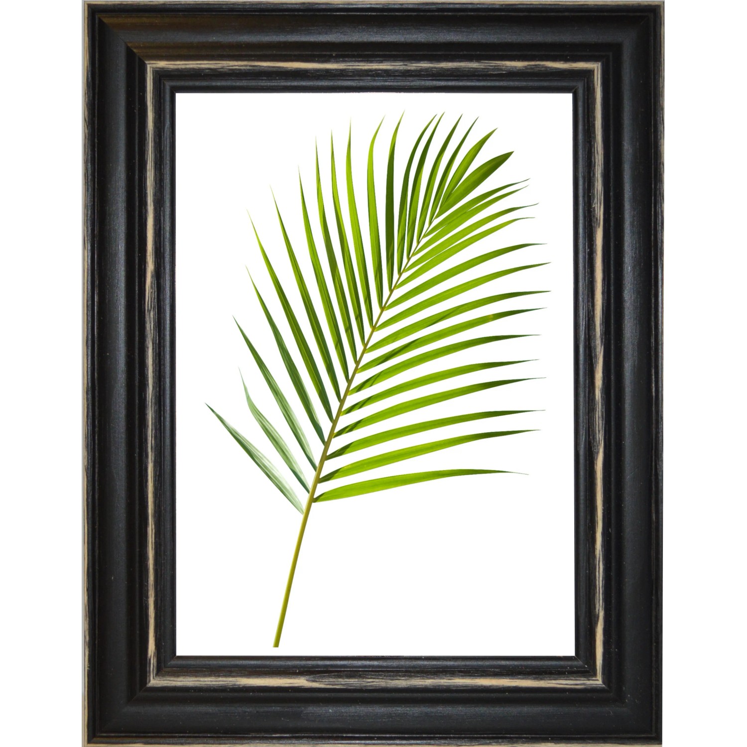 Set 4 Cornici In Legno Nero Per Poster 30,5x45,7 Cm (12x18 Pollici) - Con Vetro E Tappetino Per Foto 8,5x11