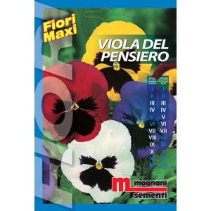 Confezione di semi di viola del pensiero per fiori colorati.