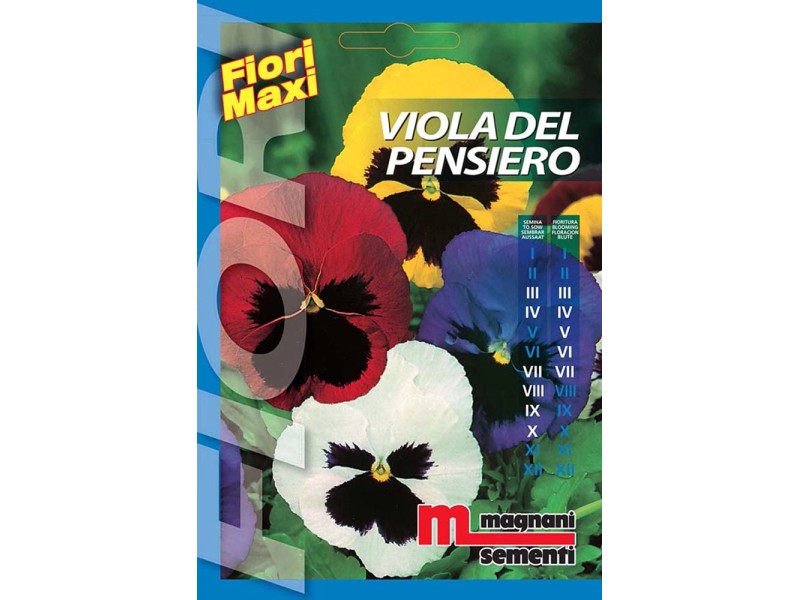 Semi fiori Viola del pensiero - Piante