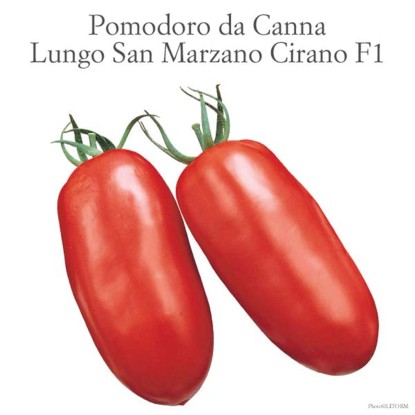 Pomodoro allungato vaschetta 4 pz