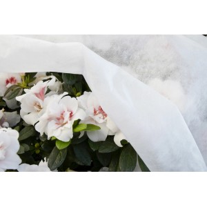Piante sotto un vello protettivo bianco. Ideale per Teli e reti di protezione.