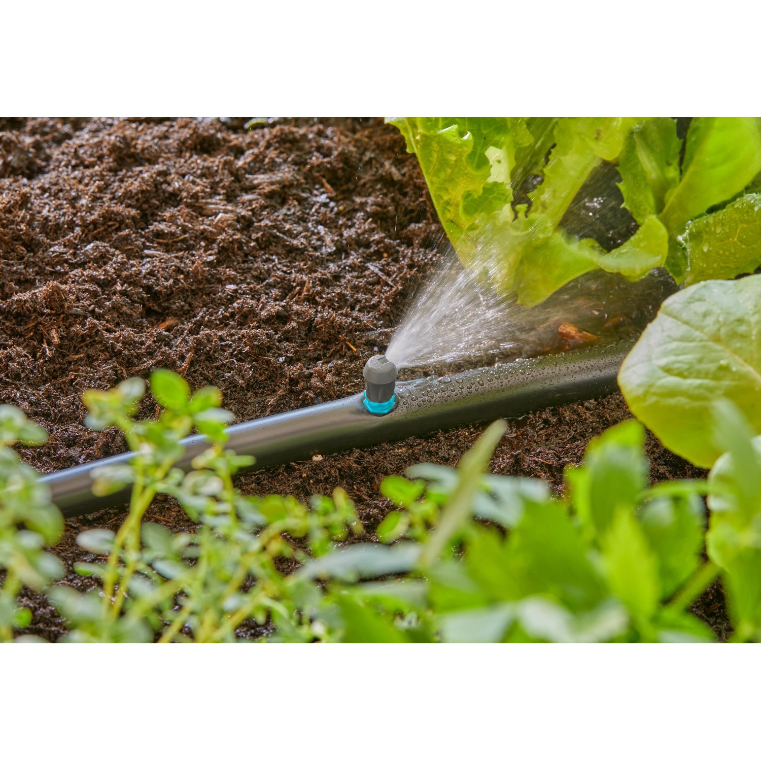 Gardena Micro-Drip-System, irrigatore a striscia terminale che irriga l'aiuola con spray.