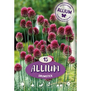 Confezione di Allium Drumsticks: Fiori di aglio ornamentale viola resistenti su steli lunghi.