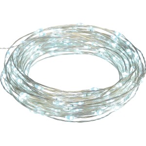 Catena luminosa da esterno argentata arrotolata con tanti piccoli LED bianchi.