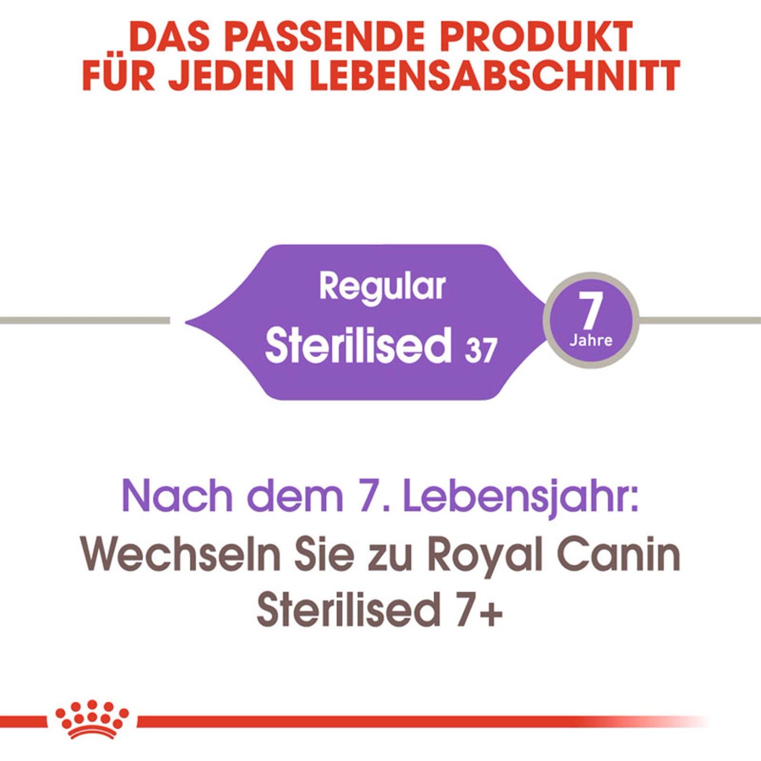 Royal Canin Sterilised cibo per gatti: Grafica che mostra il passaggio a Sterilised 7+ dopo 7 anni.