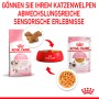 Royal Canin Kitten alimento umido e secco per gattini in gelatina, confezione da 85g.