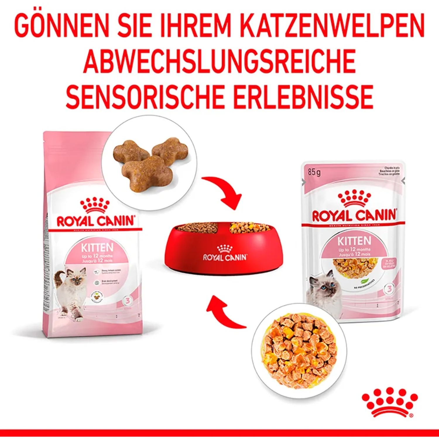 Royal Canin Kitten alimento umido e secco per gattini in gelatina, confezione da 85g.