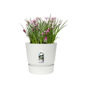 Vaso per piante Elho bianco con pianta fiorita rosa, ideale per interni ed esterni.