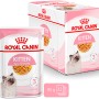 Royal Canin Kitten cibo umido in gelatina, busta da 85g e confezione da 12 per gattini fino a 12 mesi.