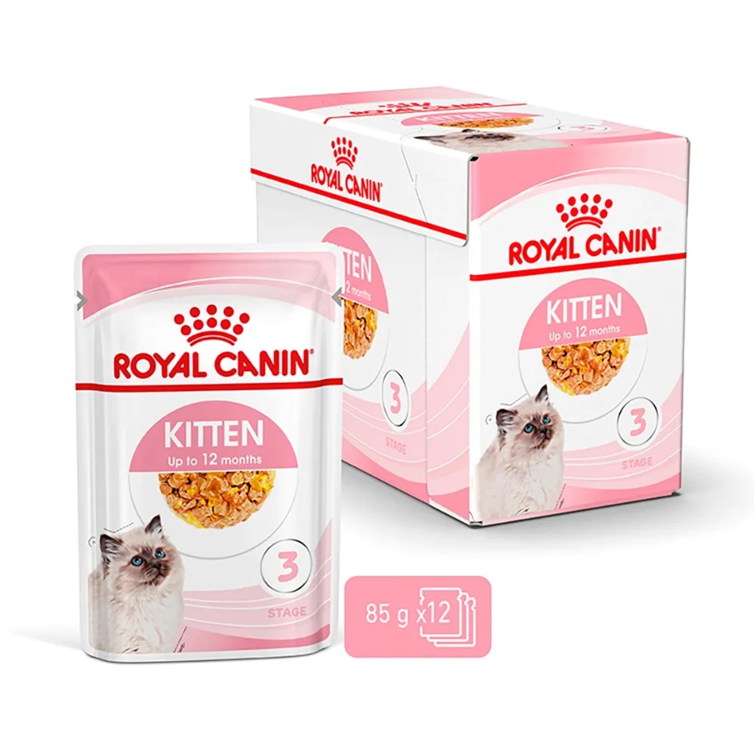 Royal Canin Kitten cibo umido in gelatina, busta da 85g e confezione da 12 per gattini fino a 12 mesi.