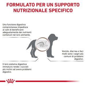 Illustrazione sui problemi digestivi nei cani, abbinata al cibo secco per cani t.b.t.