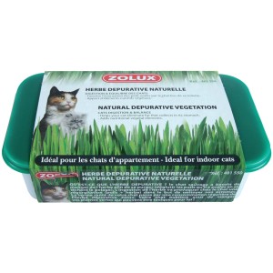 t.b.t. Erba gatta in contenitore per la digestione e il benessere del gatto.