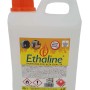 Tanica di bioetanolo Ethaline, 2 litri, per caminetti e stufe.