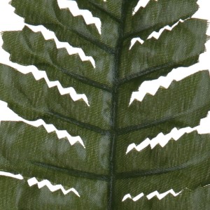 Dettaglio di una foglia di felce verde della pianta artificiale t.b.t.