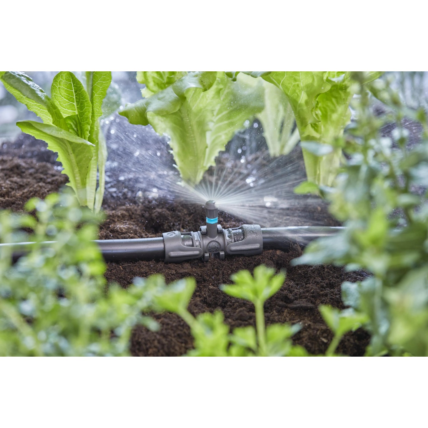 Irrigazione con connettore t.b.t. in giardino. Raccordi irrigazione.