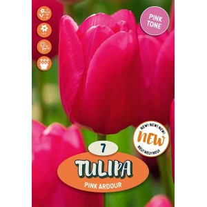 Bulbi tulipano Triumph Pink Ardour Rosa Fucsia